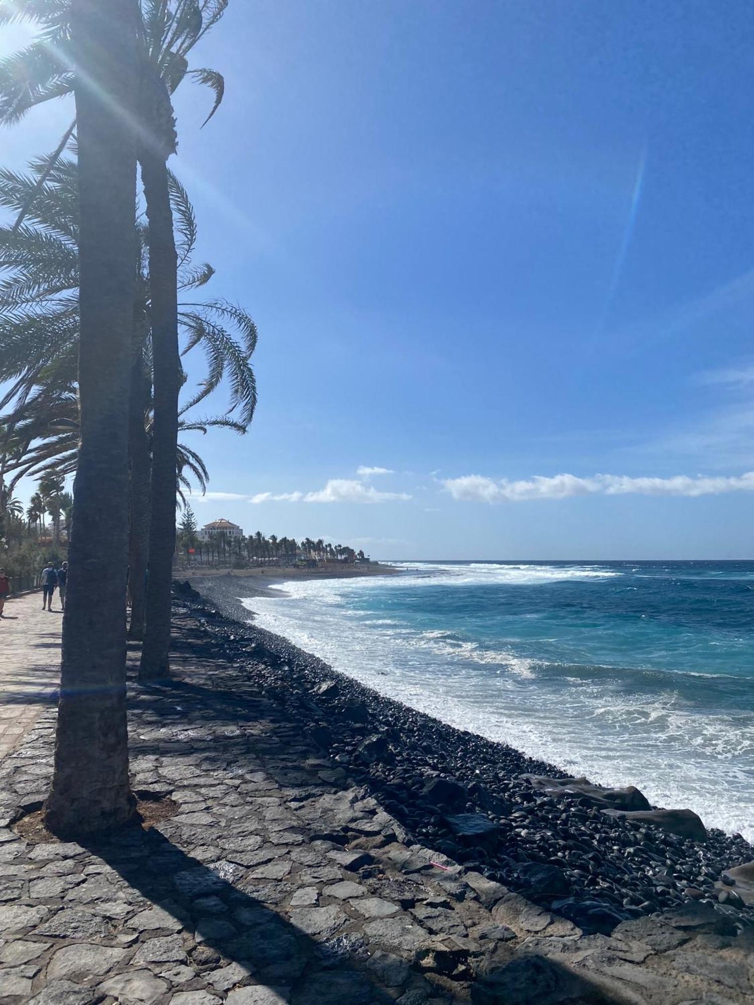 Sea View Terrace In Las Americas Playa Feñabe エクステリア 写真